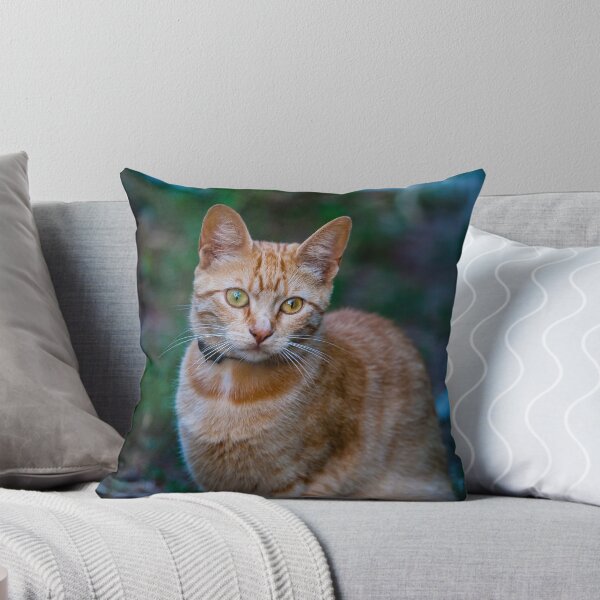 Item preview, Cat III designed and sold by NunoPires.
