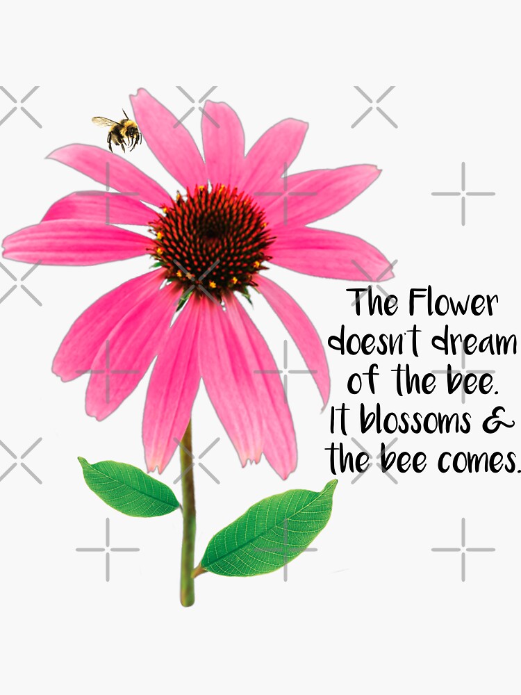 "The Flower doesn’t dream of the bee. It blossoms & the bee comes