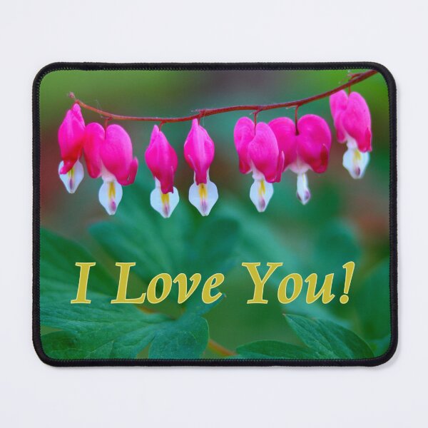 Item preview, Bleeding Hearts - I Love You Gold designed and sold by BostonArcImage.