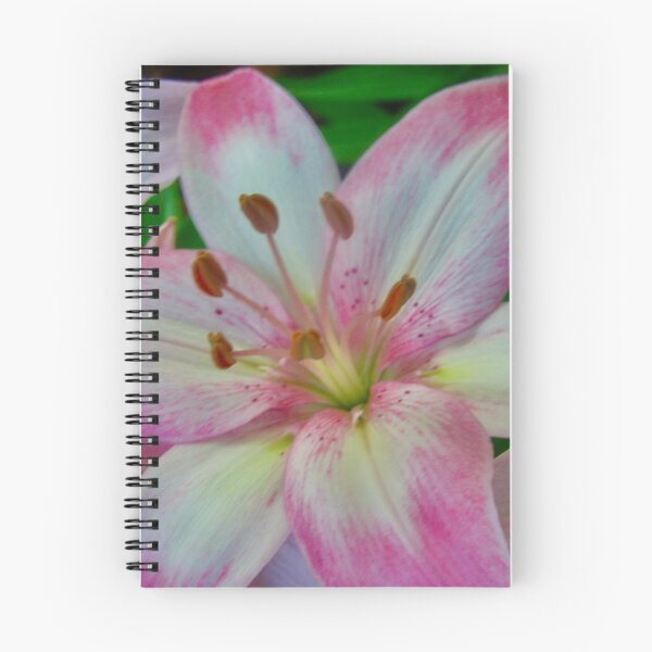 Item preview, Pink Stargazer Lily designed and sold by Shulie1.