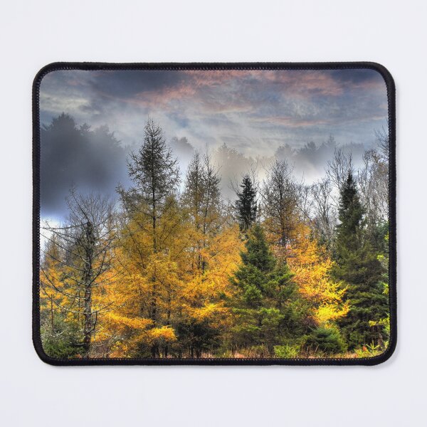 Item preview, Tripoli Larch Bog in Fog designed and sold by Wayne King.