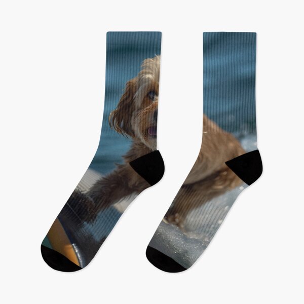 Item preview, Dog on a sup board. Summer sport. designed and sold by anytka.