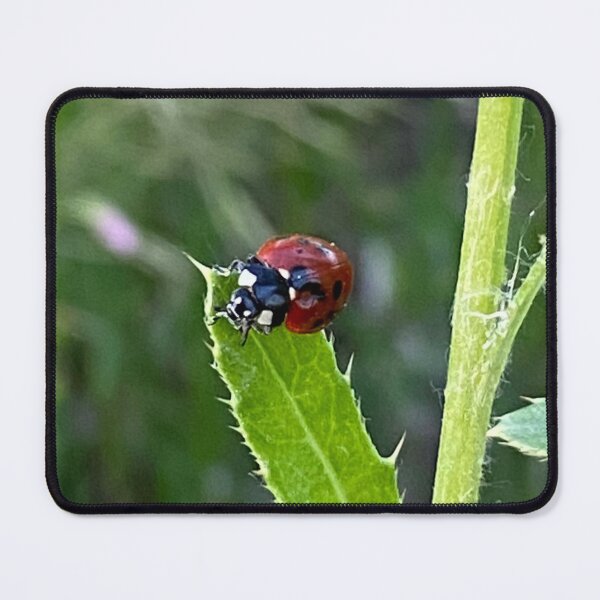 Item preview, Lady Bug, Lady Bird designed and sold by LifeSpice.