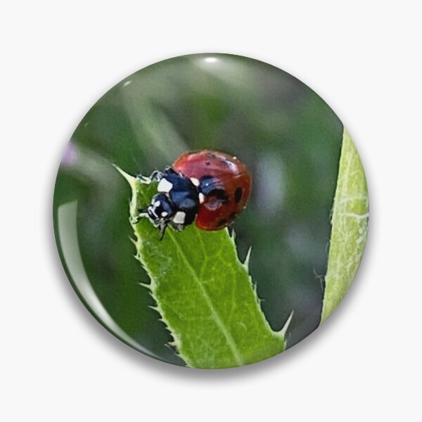 Item preview, Lady Bug, Lady Bird designed and sold by LifeSpice.