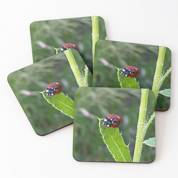Item preview, Lady Bug, Lady Bird designed and sold by LifeSpice.