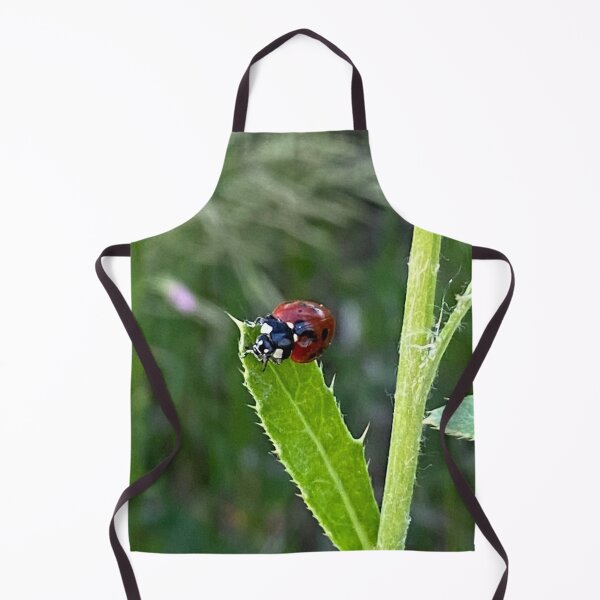 Item preview, Lady Bug, Lady Bird designed and sold by LifeSpice.