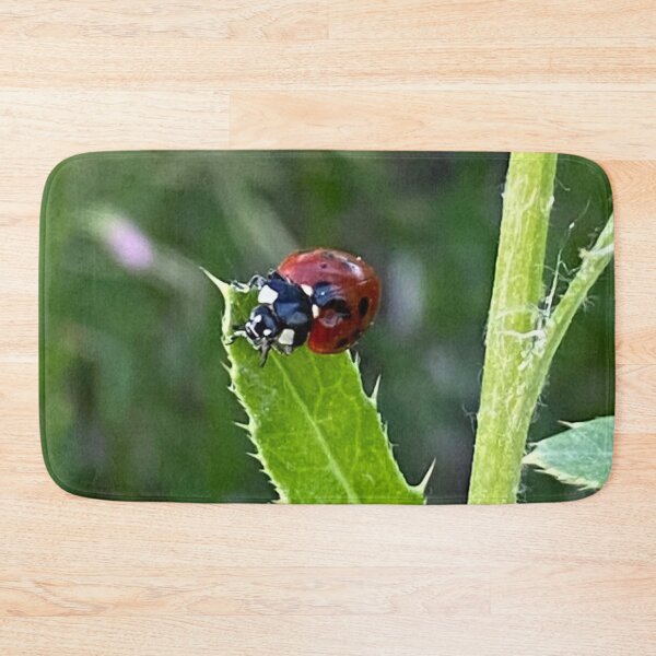 Item preview, Lady Bug, Lady Bird designed and sold by LifeSpice.