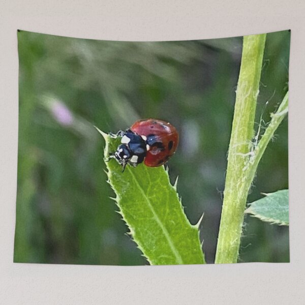 Item preview, Lady Bug, Lady Bird designed and sold by LifeSpice.