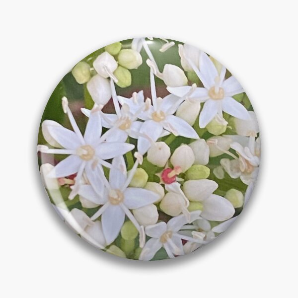 Item preview, Dogwood, White Flowers, blooms designed and sold by LifeSpice.