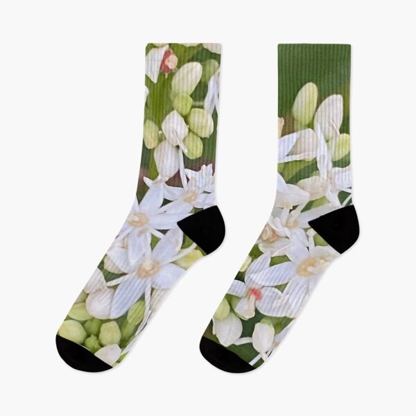 Item preview, Dogwood, White Flowers, blooms designed and sold by LifeSpice.