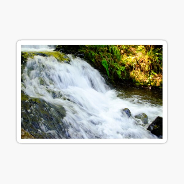 PNW waterfall Sticker