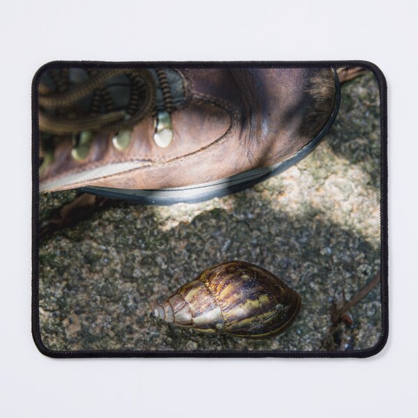 Item preview, Land Snail designed and sold by Daniel's Destinations.