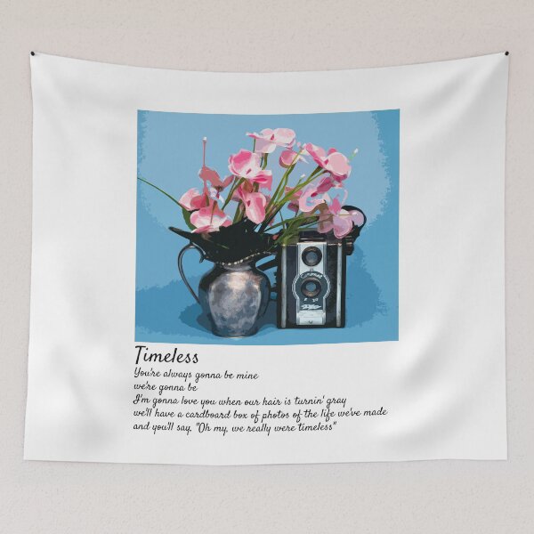Item preview, Timeless Speak Now Taylor Swift Lyrics designed and sold by doria-photos.