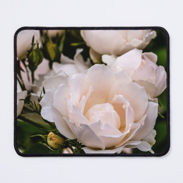 Item preview, Roses In Vanilla Peach  designed and sold by barkeypf.