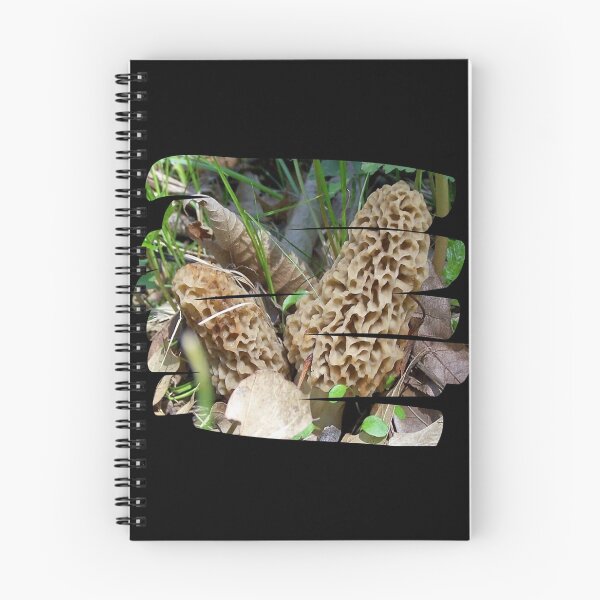 Item preview, Big Yellow Morel Mushrooms designed and sold by natnat7w.