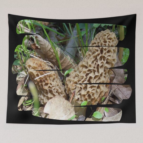 Item preview, Big Yellow Morel Mushrooms designed and sold by natnat7w.