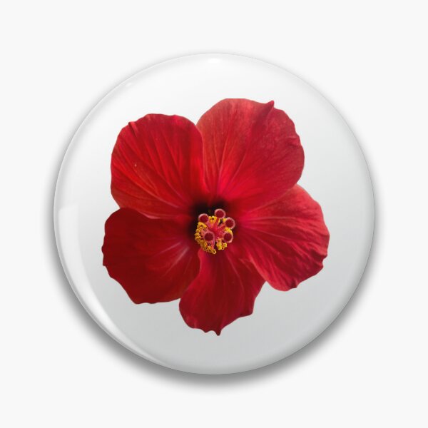 Item preview, The red hibiscus flower beautifully on several products designed and sold by Ndli.