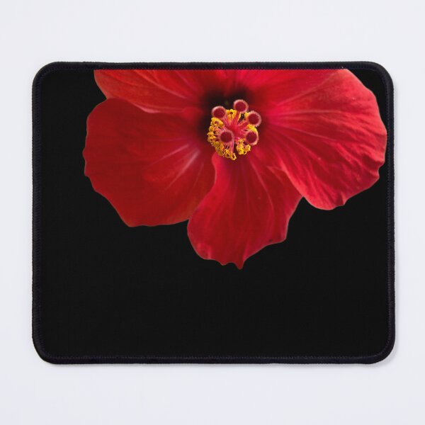 Item preview, The red hibiscus flower beautifully on several products designed and sold by Ndli.
