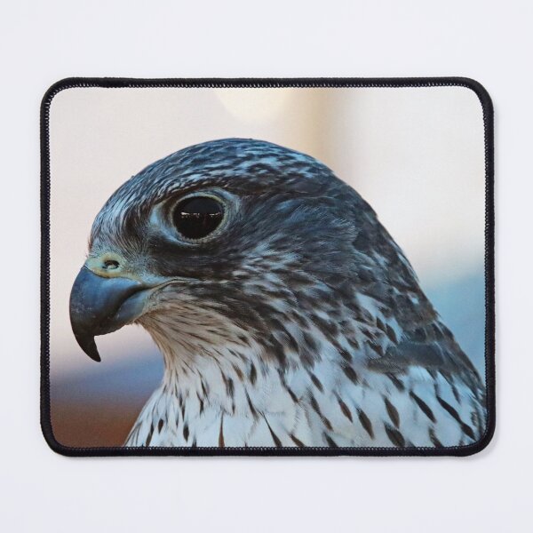 Item preview, Gyrfalcon designed and sold by Deb Oppermann.
