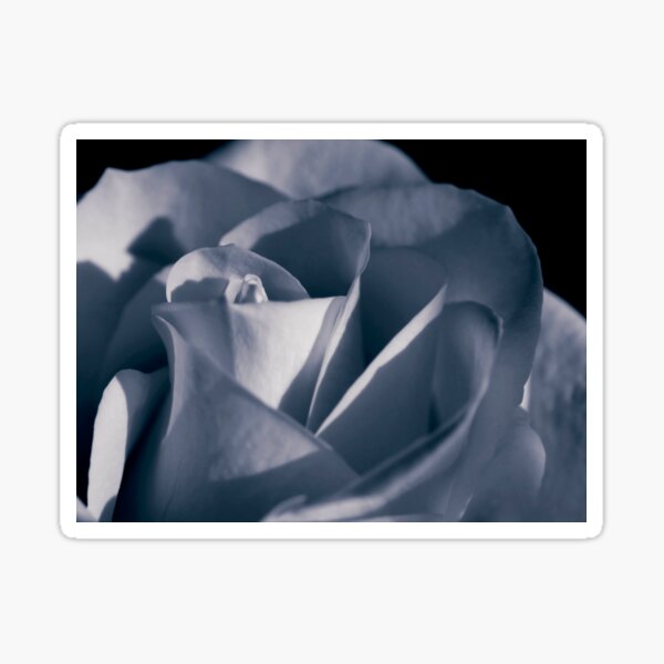 just one more rose Sticker