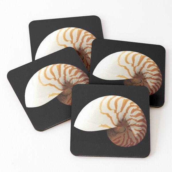 Item preview, Chambered Nautilus Shell - Symbol of Perfection designed and sold by Creative Endeavors ..
