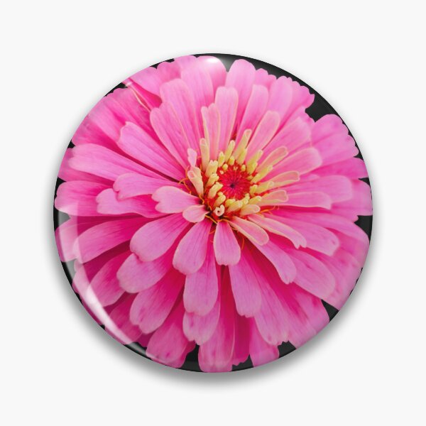 Item preview, Field Guide to Zinnias, No. 27, Pink Illumination Zinnia Flower designed and sold by Kristi Duggins.
