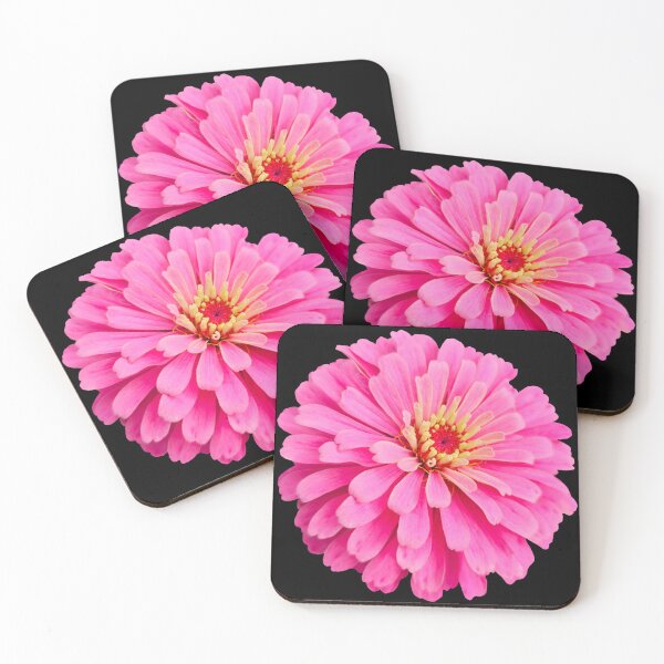 Item preview, Field Guide to Zinnias, No. 27, Pink Illumination Zinnia Flower designed and sold by Kristi Duggins.