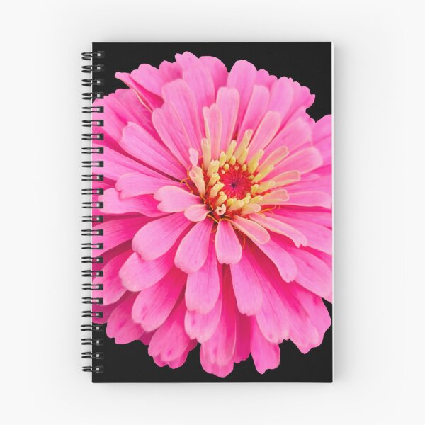 Item preview, Field Guide to Zinnias, No. 27, Pink Illumination Zinnia Flower designed and sold by Kristi Duggins.