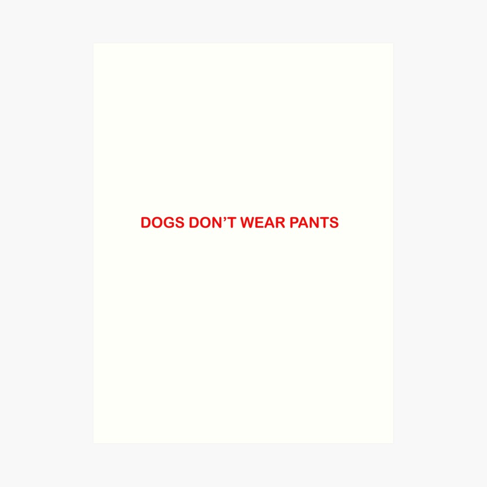Dogs Don't Wear Pants — Cult Projections