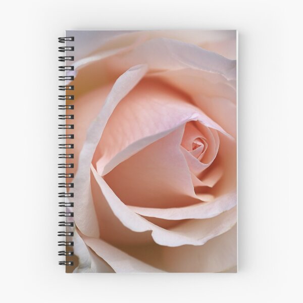 Item preview, Soft Rose designed and sold by Joy Watson - Natural Light Photography .