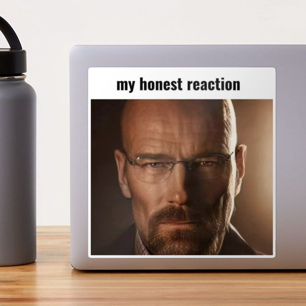 My Honest Reaction My Honest Reaction Meme Sticker - My honest