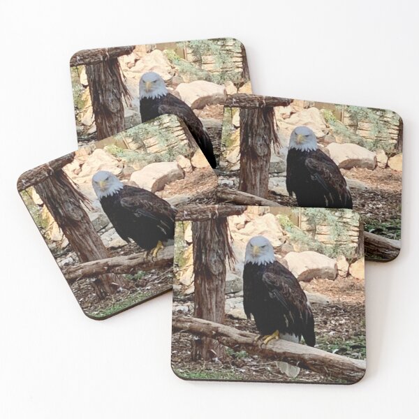 Item preview, Bald eagle designed and sold by Nature Photography by Wendi Gordon.