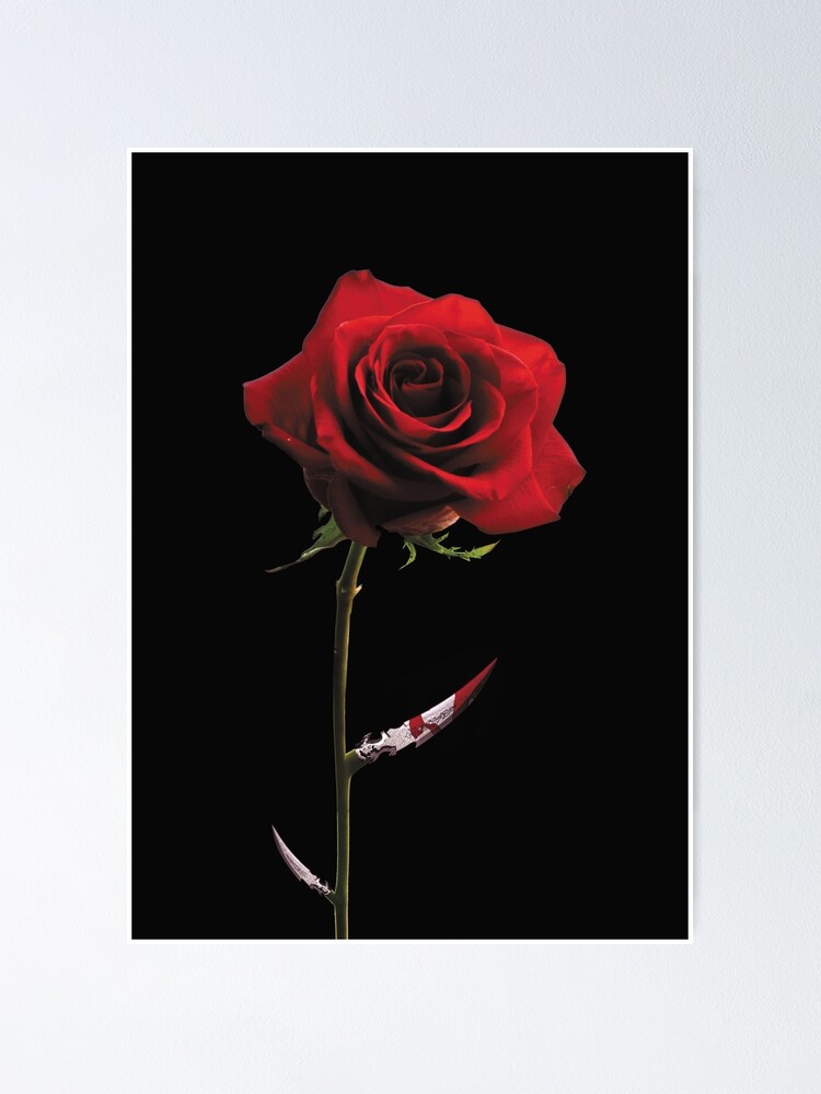 FUDMAE 筆前　Red Rose グラフィックポスター スカル FUDMAE 筆前 Red Rose グラフィックポスター スカル - メルカリ