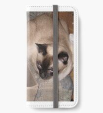Vinilo o funda para iPhone siamés