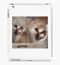 Vinilo o funda para iPad siamés