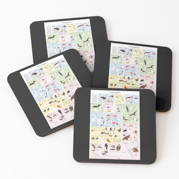 Item preview, Drawing Birds Catalogue designed and sold by TyriqueTrantow.