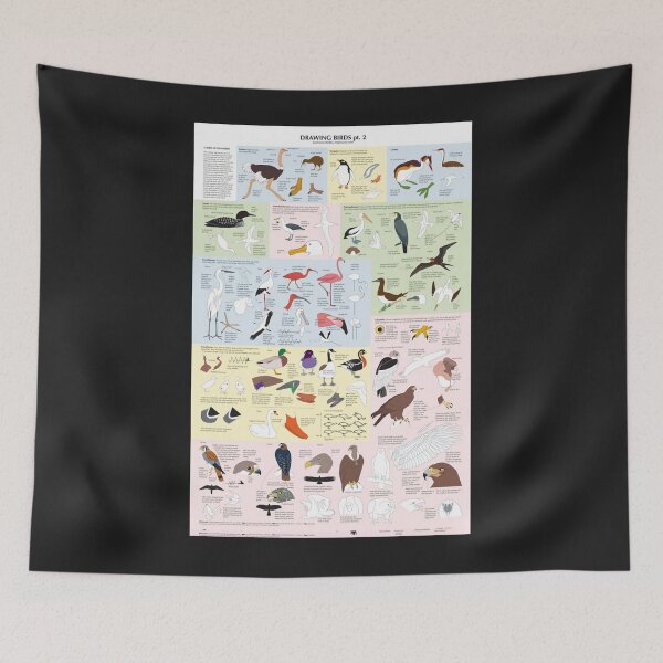 Item preview, Drawing Birds Catalogue designed and sold by TyriqueTrantow.