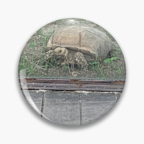 Item preview, Galapagos Tortoise  designed and sold by Nature Photography by Wendi Gordon.