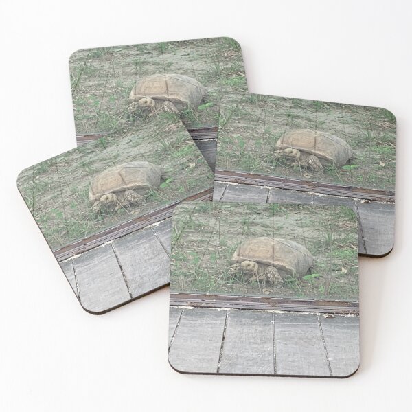 Item preview, Galapagos Tortoise  designed and sold by Nature Photography by Wendi Gordon.