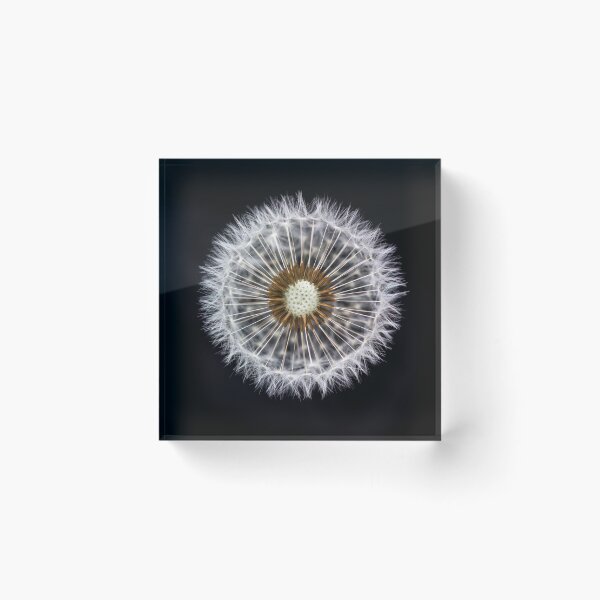 Item preview, Ethereal Dandelion Clock designed and sold by assaf.