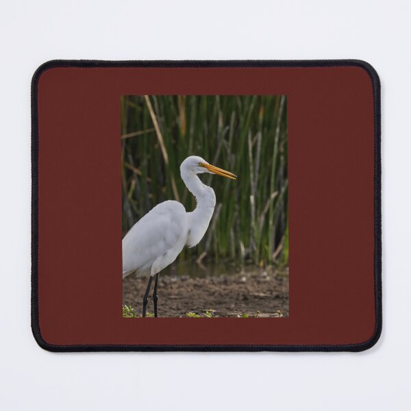 Item preview, Elegant white heron in the wetland designed and sold by gzijwlzyjmf98.
