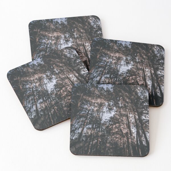 Item preview, path full of trees designed and sold by hasrielarts.