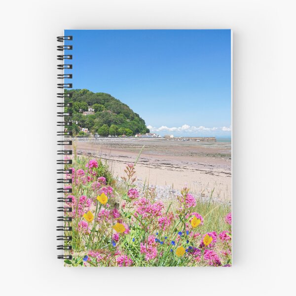 Item preview, Minehead Beach designed and sold by Alisonchambers2.