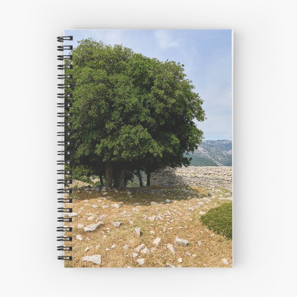 Item preview, Kastro ossuary. The bone house. Kastro views 13 designed and sold by Jouko Lehto Photography.
