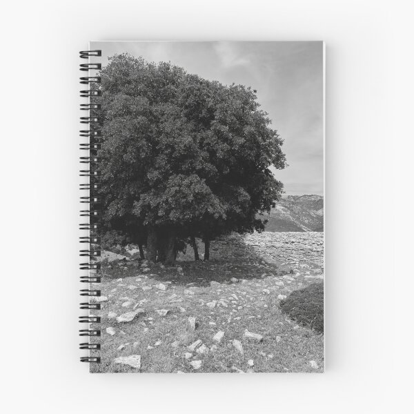 Item preview, Kastro ossuary. The bone house. Kastro views 14 bw designed and sold by Jouko Lehto Photography.