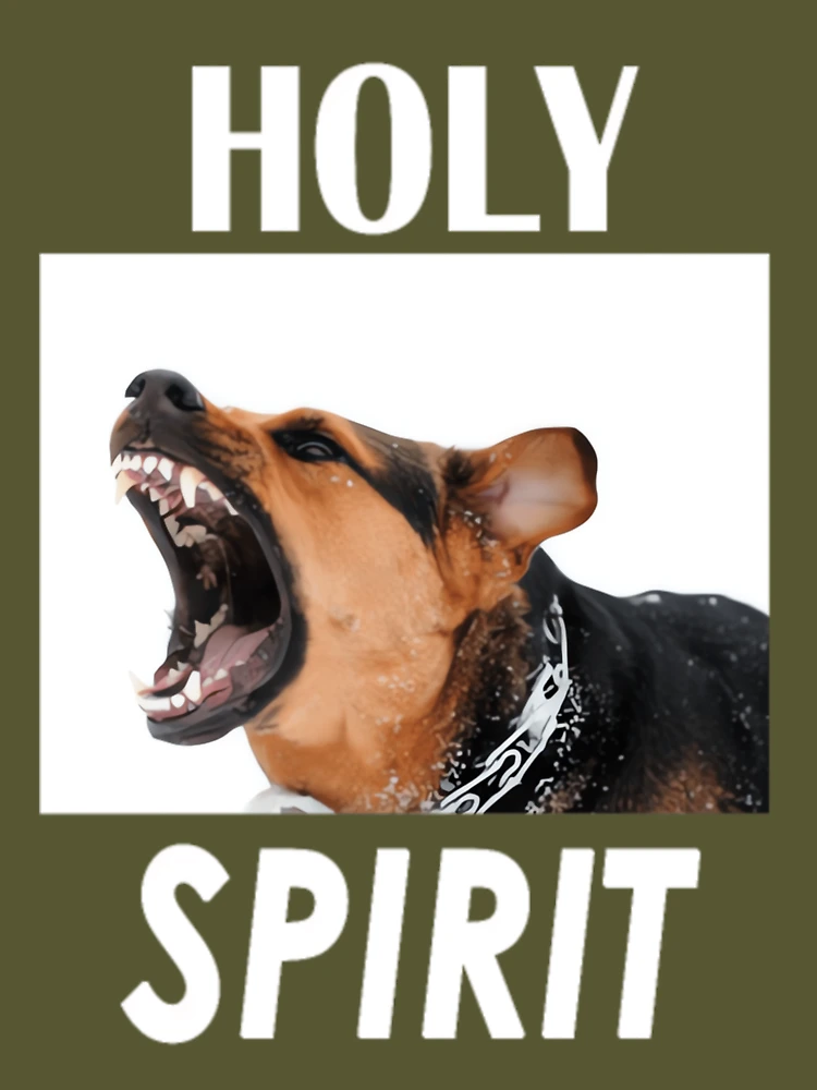 Holy spirit store dog sweatshirt