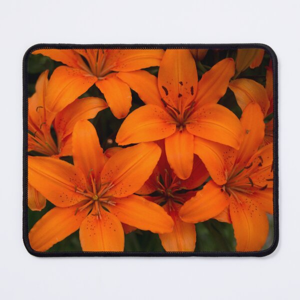 Item preview, Daylilies designed and sold by lghtwrkr.