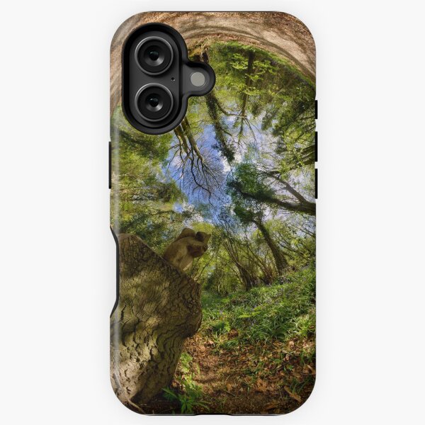 Squirrel Sculpture in Prehen Woods, Derry - Sky In iPhone Tough Case