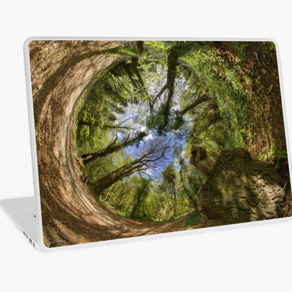 Squirrel Sculpture in Prehen Woods, Derry - Sky In Laptop Skin