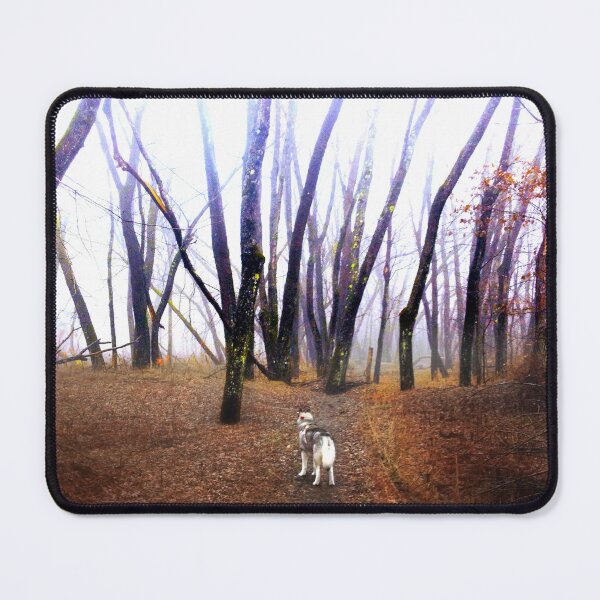 Item preview, Second Thoughts designed and sold by Wayne King.